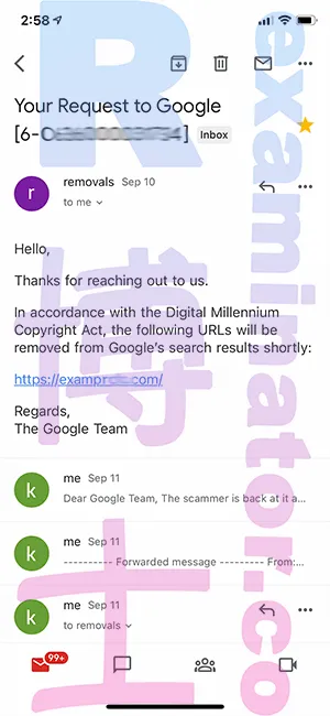 DMCA 移除请求截图